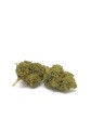 TROPICAL OG