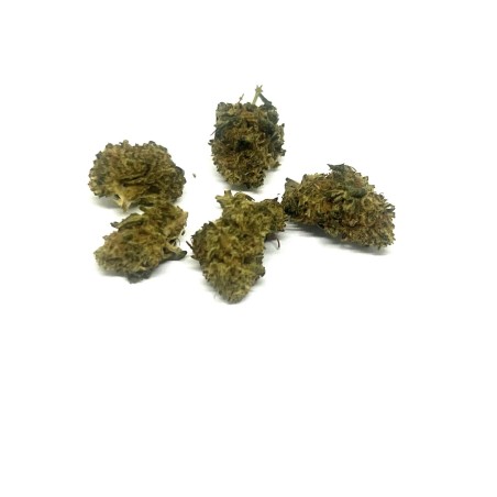 Bubble gum