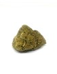 Plutonium