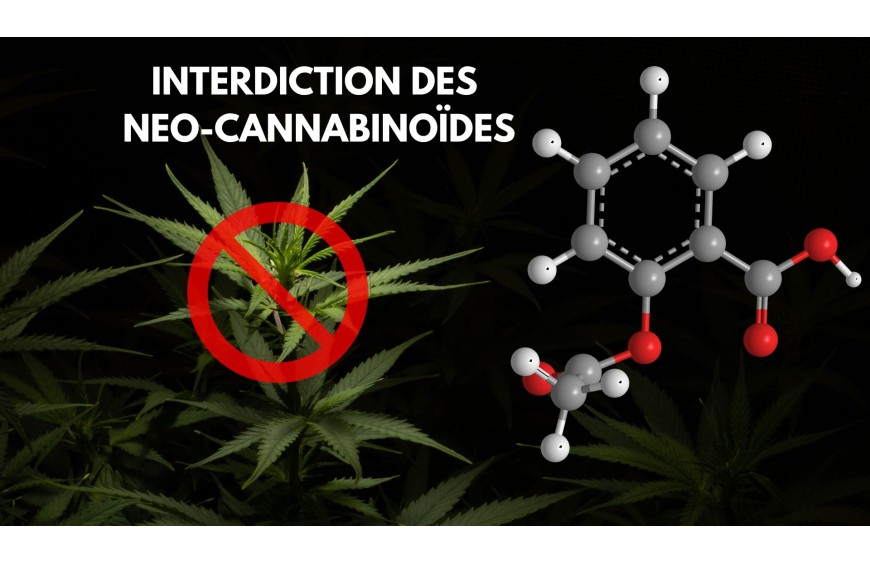 Nouveaux Cannabinoïdes Interdits : Ce Qu'il Faut Savoir Avant Le 3 Juin 2024